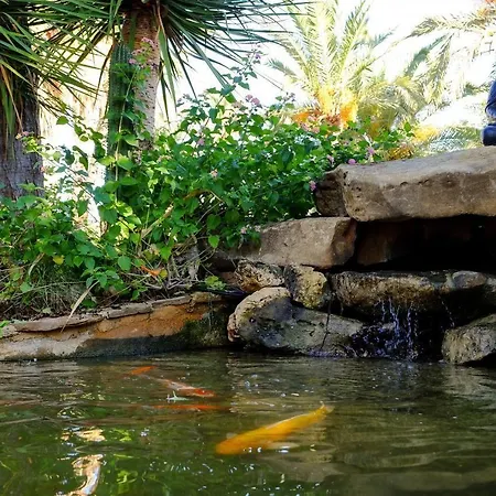 Open Sky Pensión Dénia